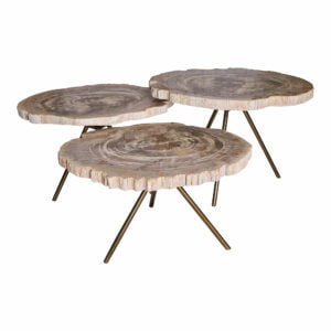 MUD-Tables basses Triptyques en bois fossilisé